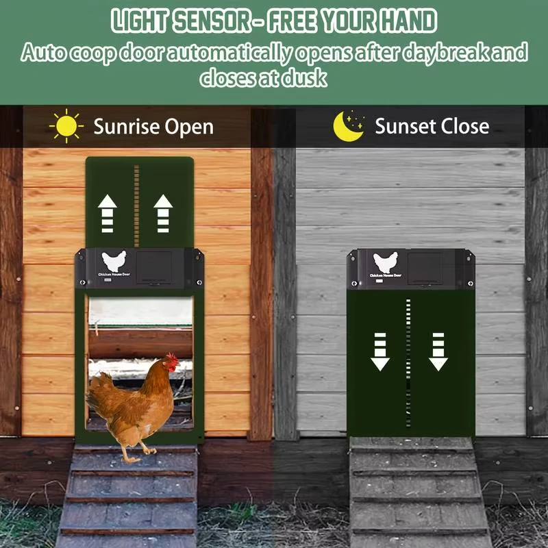 CoopGuard Starter sunrise open and sunset close demonstration